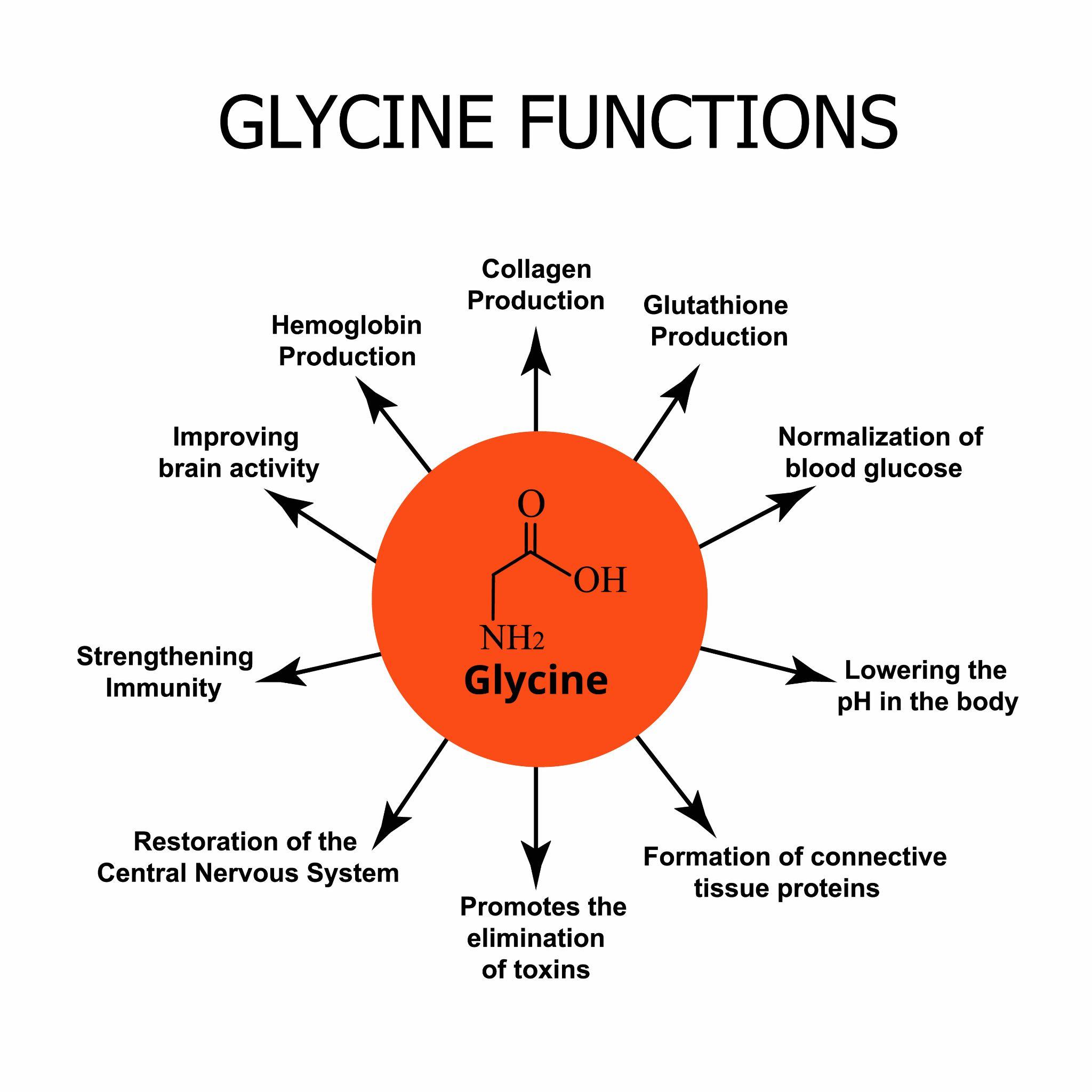 glycine functions