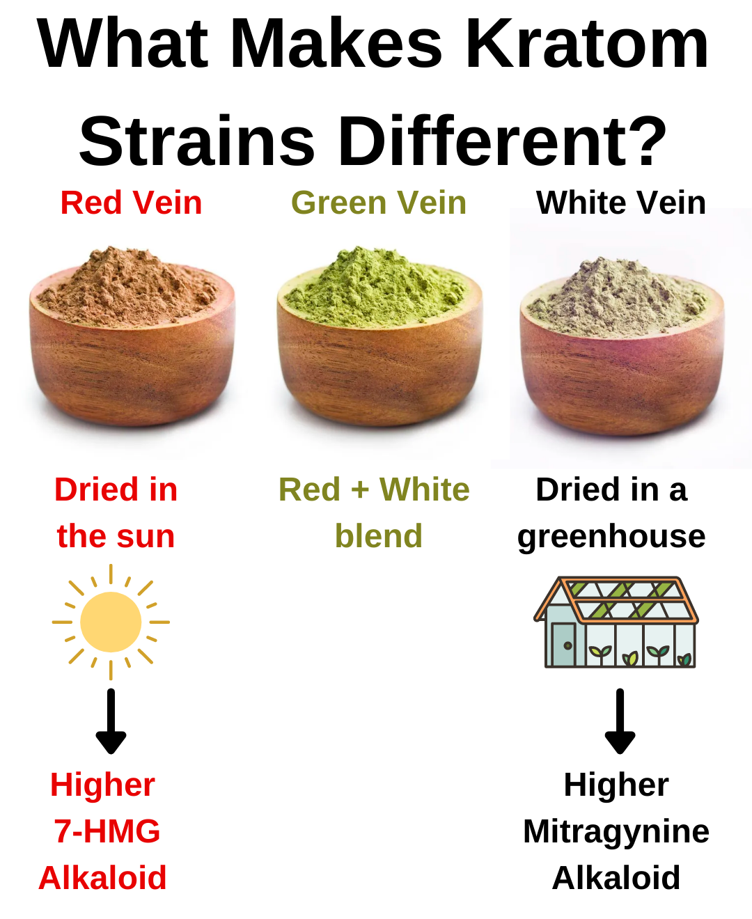 kratom strain differences explained