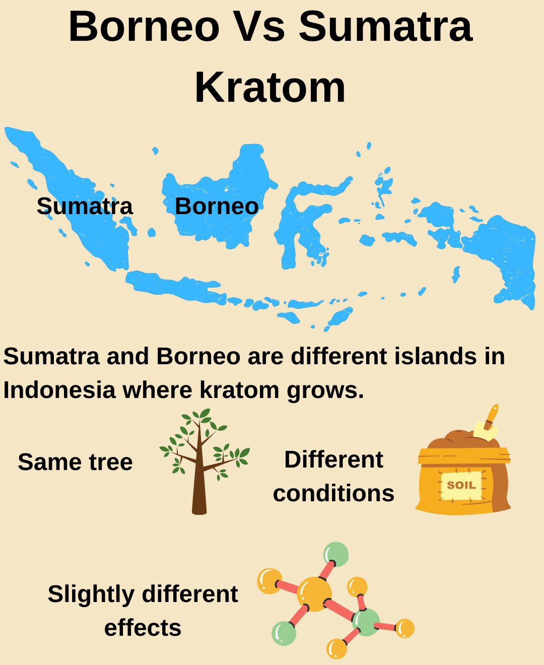 borneo vs sumatra kratom