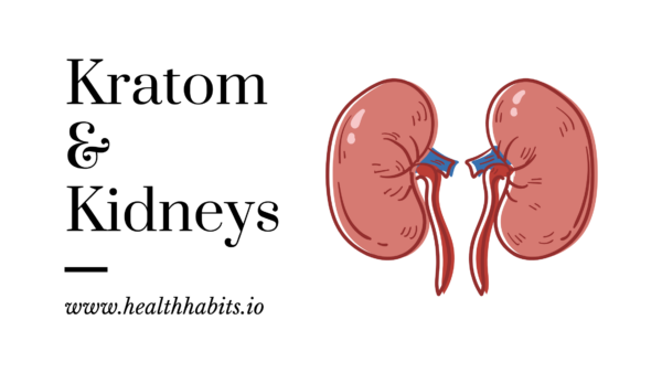 kratom and kidneys